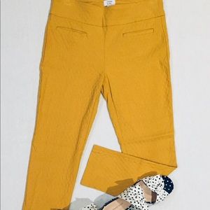 Crown & Ivy Pants